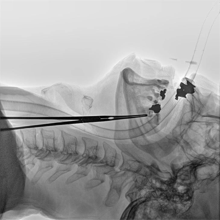 High-quality High-frequency Mobile X-ray Machine